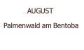  AUGUST  Palmenwald am Bentoba