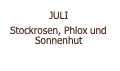  JULI  Stockrosen, Phlox und Sonnenhut 